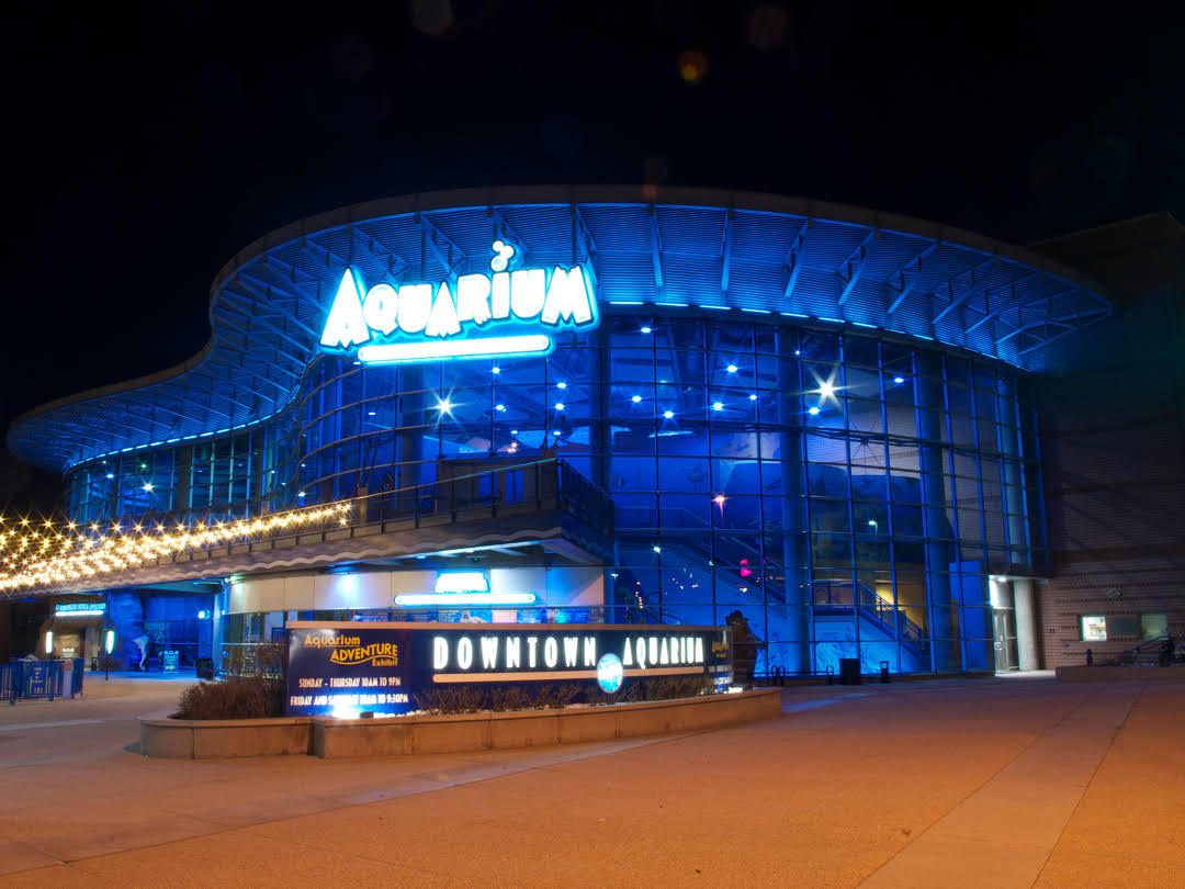 Denver sentrum akvarium